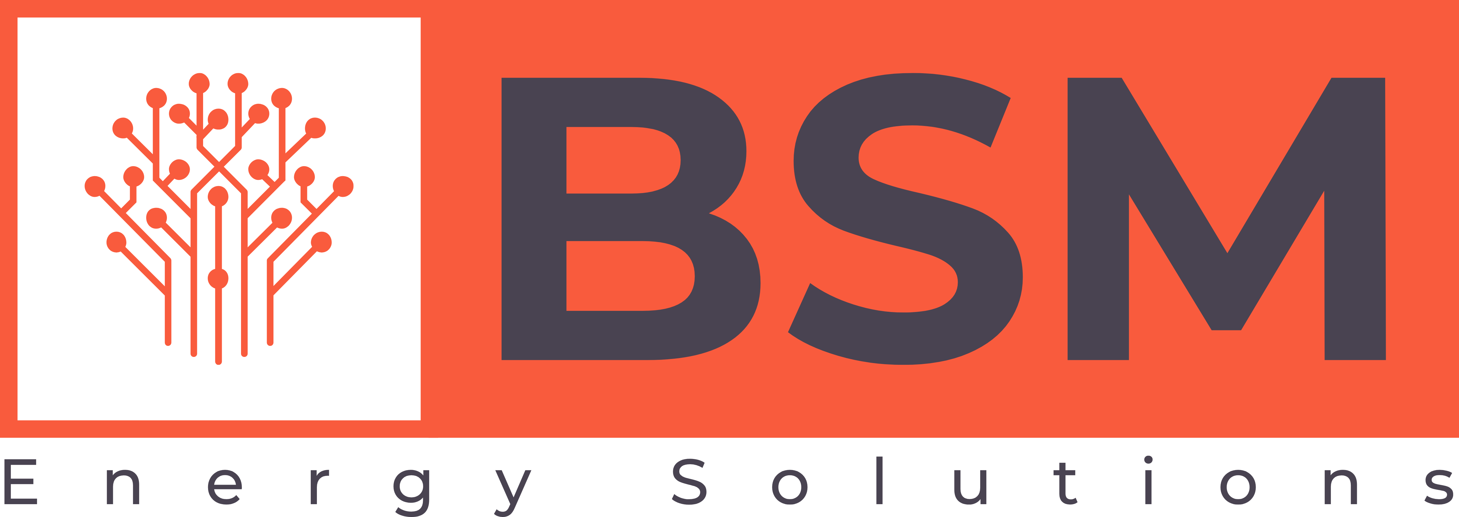 BSM Energy Solutions
